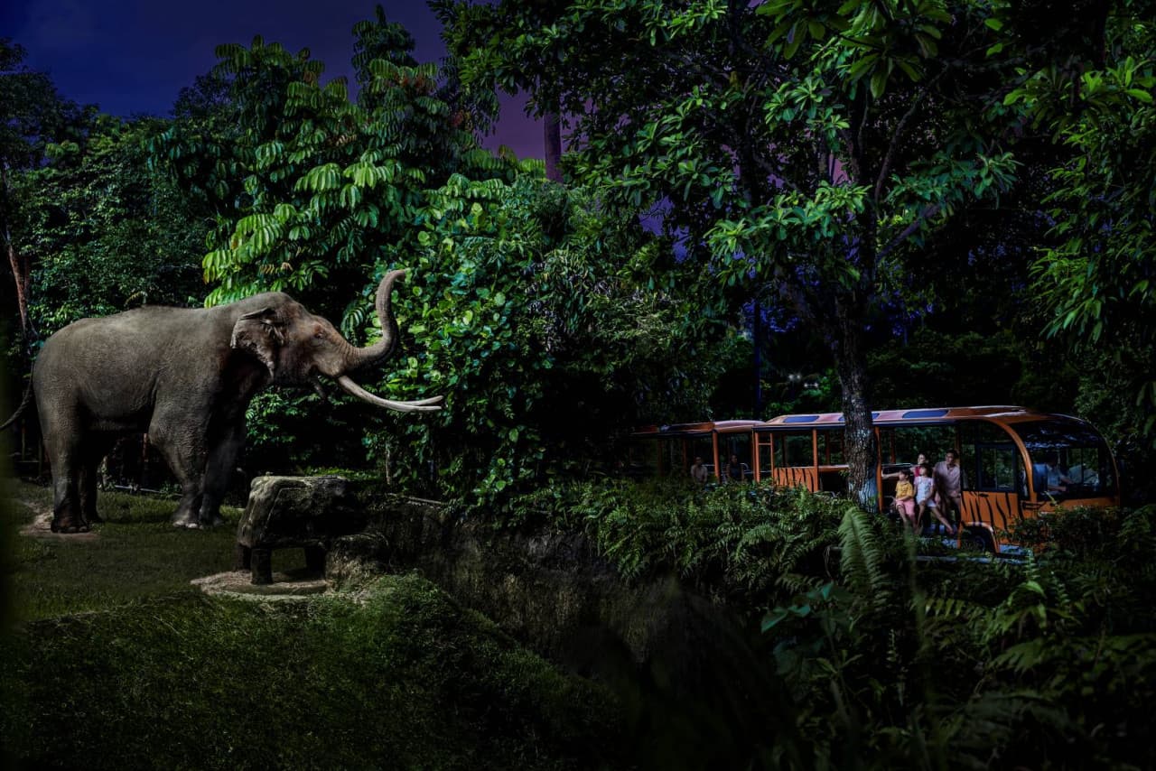 5-in-1 Day Pass: Night Safari + Singapore Zoo + Bird Paradise + River Wonders + Rainforest Adventure - image 13