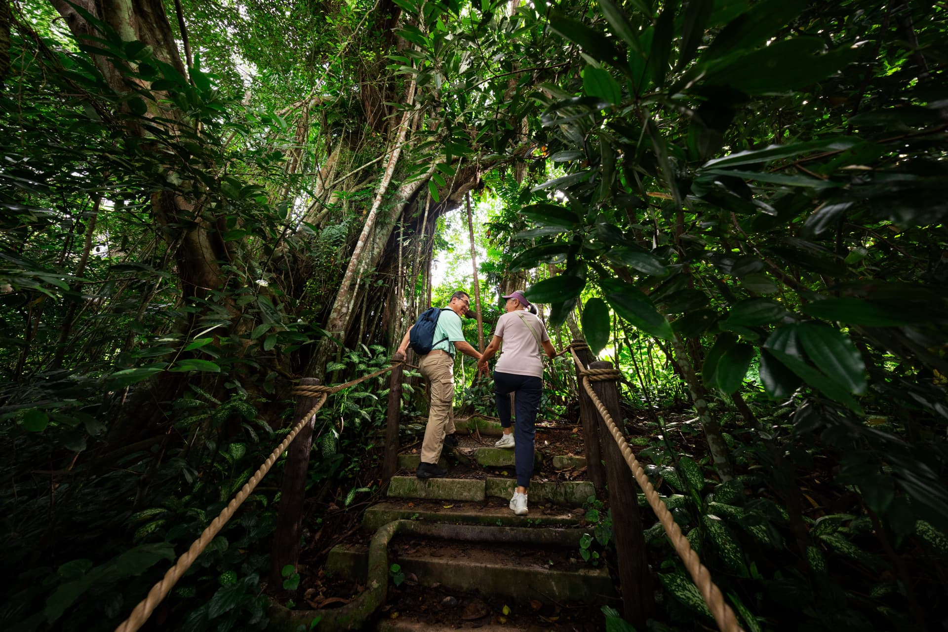 5-in-1 Day Pass: Night Safari + Singapore Zoo + Bird Paradise + River Wonders + Rainforest Adventure - image 9